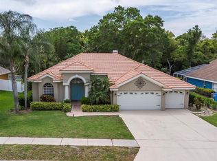 748 Sunflower Dr, Palm Harbor, FL 34683