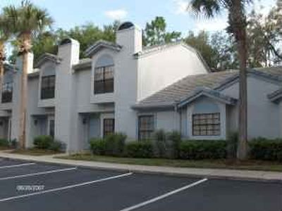 5100 Burchette Rd Unit 4201, Tampa, FL, 33647