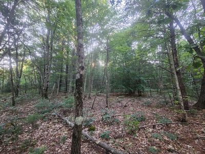 Whitmire Rd, Holton, MI, 49425