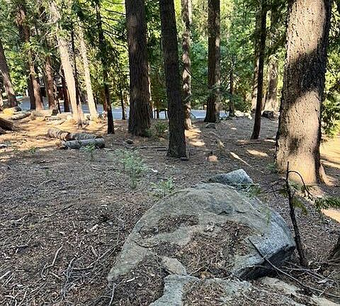 4th image of 1534 Sierra Pkwy