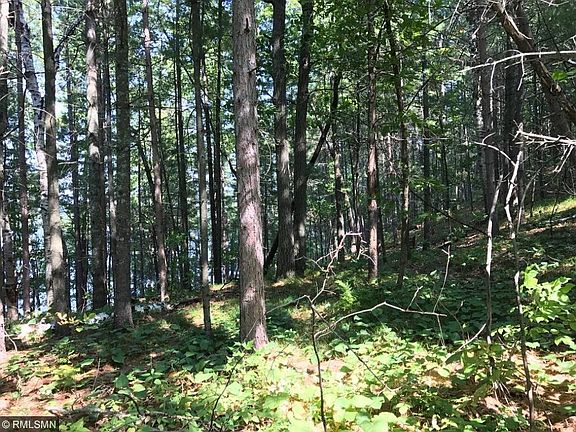 2nd image of B B Peninsula Road Tract