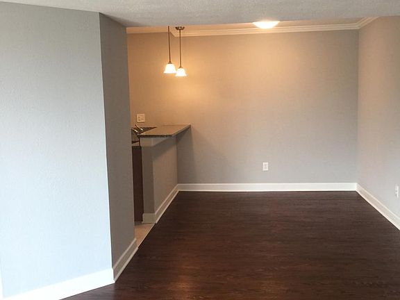 4th image of 1101 Olive Lake Dr APT N