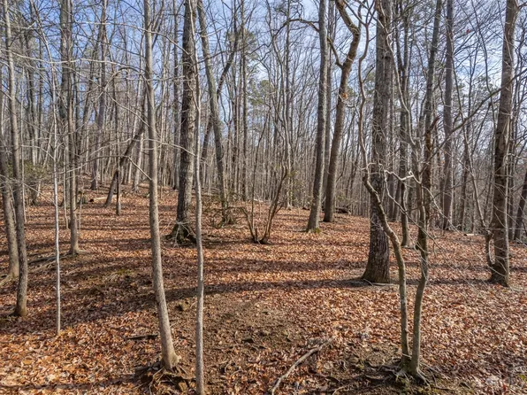 11 Foxwood Dr, Tryon, NC 28782