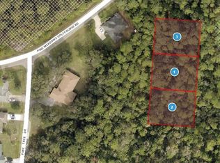 Pine Meadows Rd LOT 400, Eustis, FL 32736