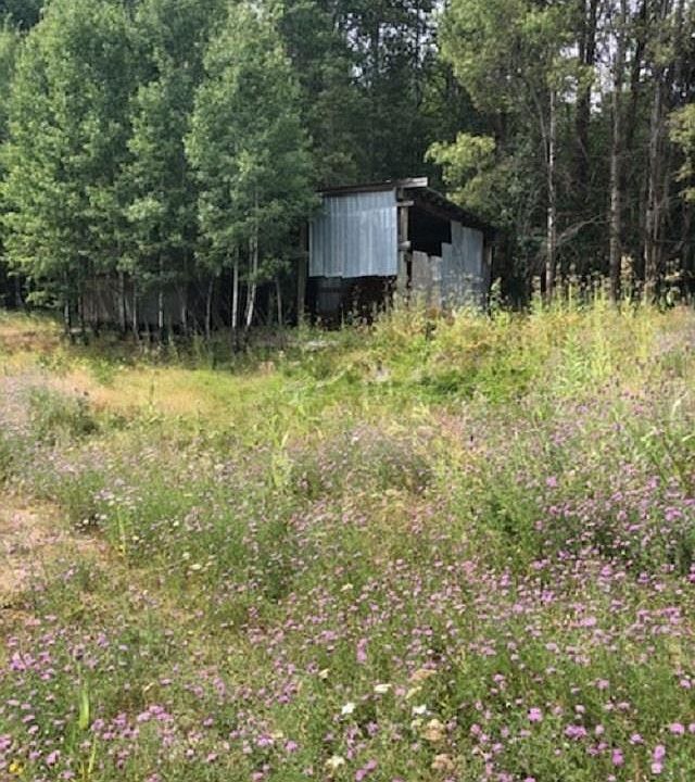 2nd image of 29125 N Elk Chattaroy Rd #A