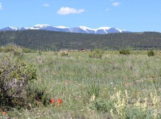 49 La Vista Dr, Rye, CO 81069