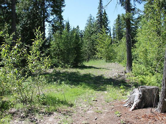 3rd image of 200 Woodlandstar Cir