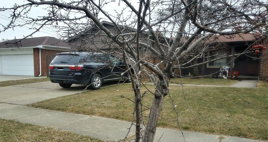 1st image of 13904 Beatrice St