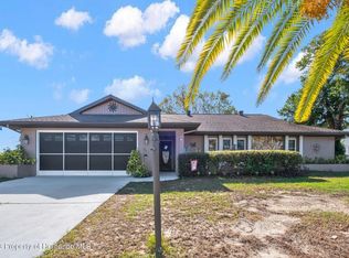 11234 Auburndale St, Spring Hill, FL 34609