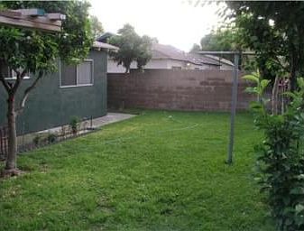 Backyard