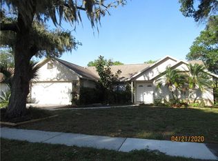 4213 Spring Way Cir, Valrico, FL 33596