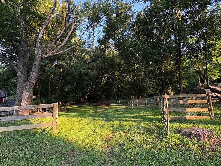 16960 Taylors Landing Rd — Photo 21
