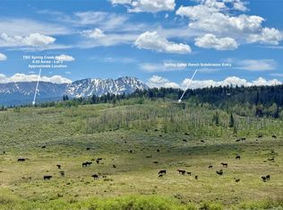 Tbd Spring Creek Ranch Rd, Silverthorne, CO 80498