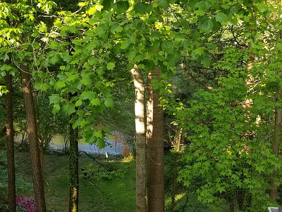 Master bath park-like view