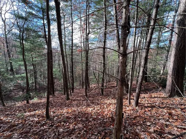 J 273 Pine Ridge Rd #J-273, Ellijay, GA 30536
