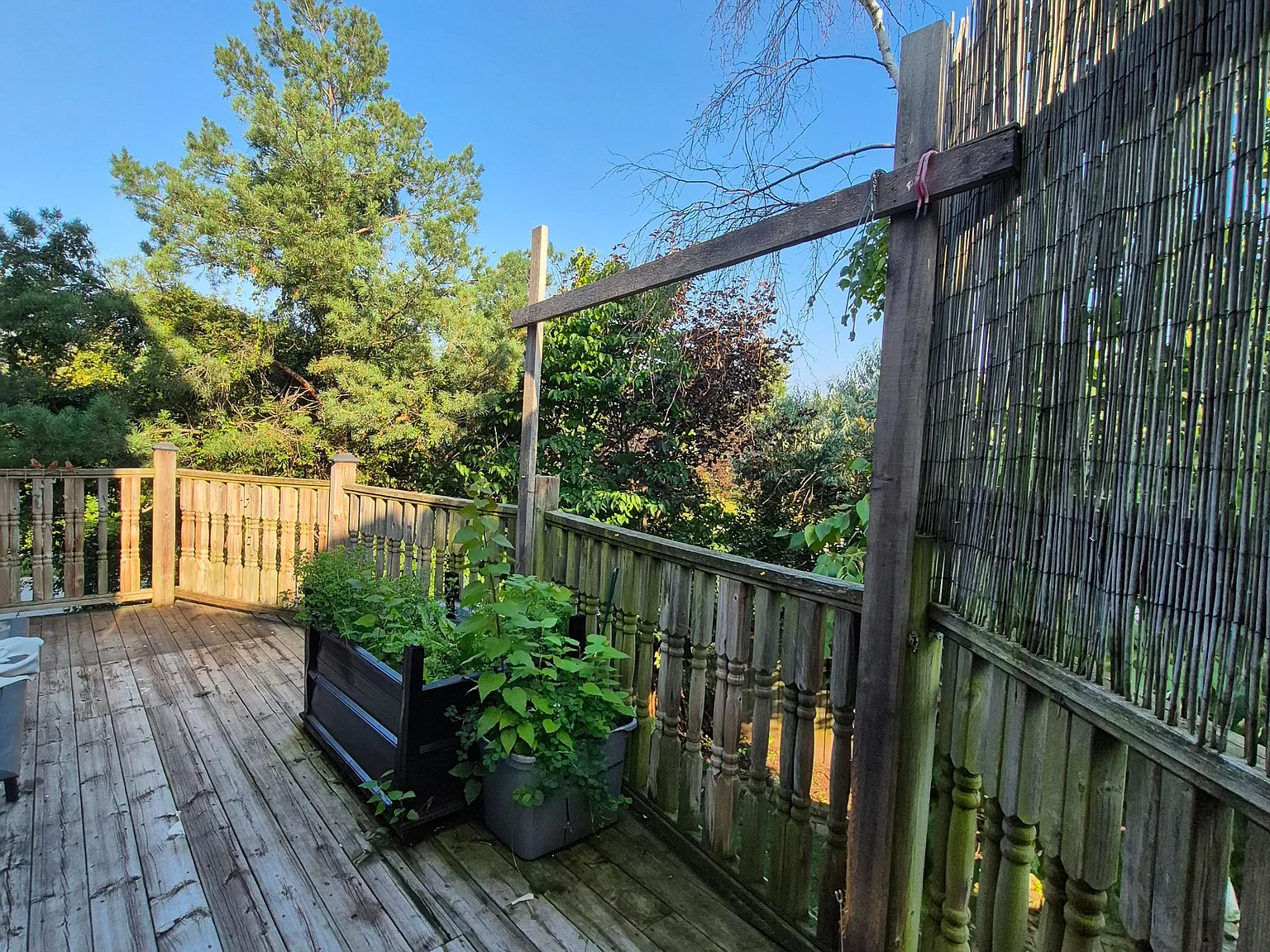 3 bed, $3,450 — Photo 3
