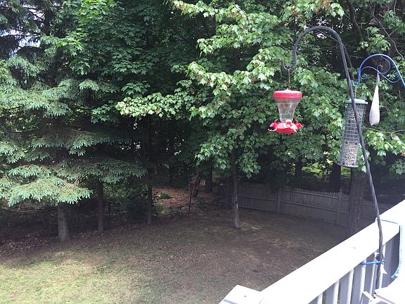 fenced backyard