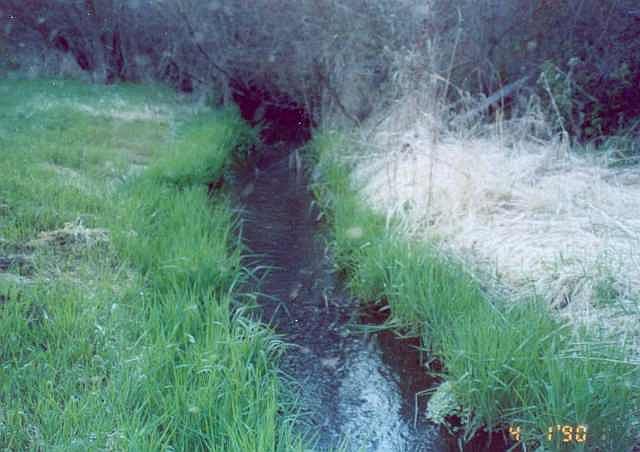 2nd image of 8921 S Cheney Spokane Rd