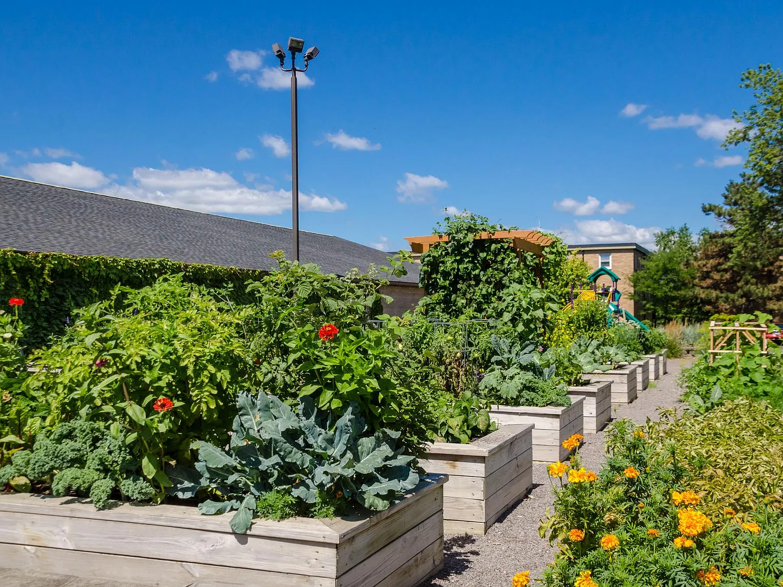 Cedarview Commons — Photo 4