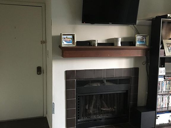 Wood Burning Fireplace