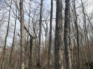 19301 Northcutts Cv, Beersheba Springs, TN 37305