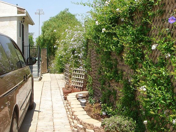 side of the driveway