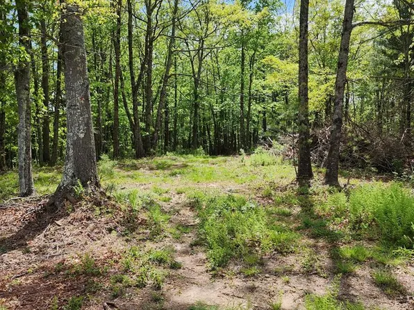 Tbd Harrison Dr, Fancy Gap, VA 24328