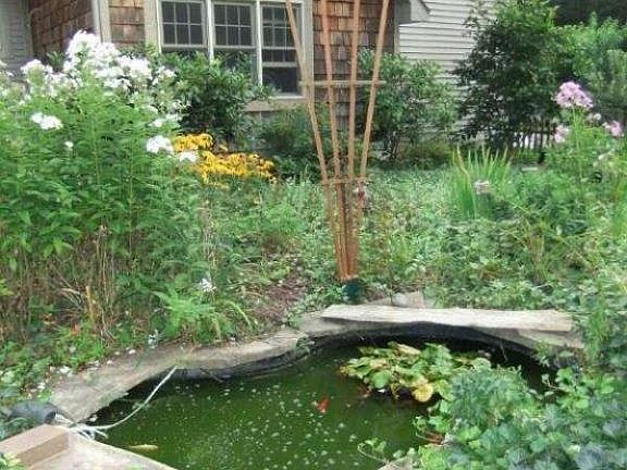 4th image of 6570 Burton Woods Dr