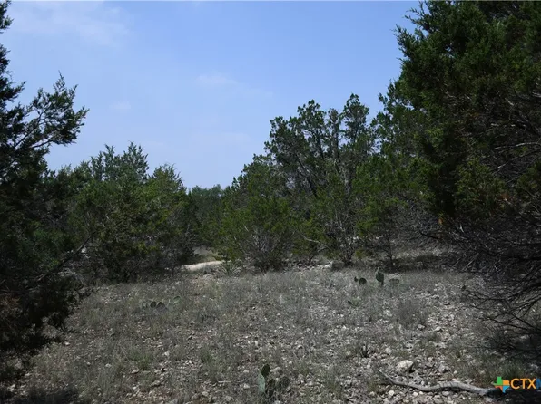 135 Agarita Dr, Spring Branch, TX 78070