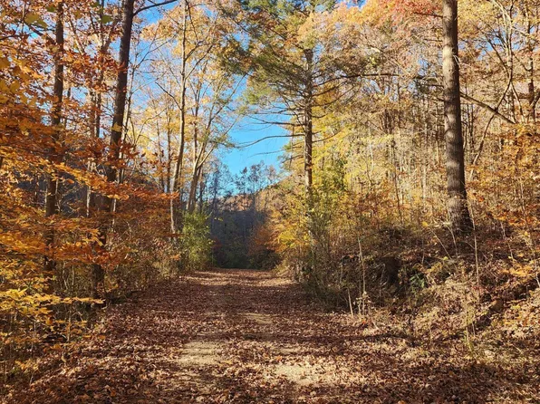 Terry Creek Ln, Pioneer, TN 37847