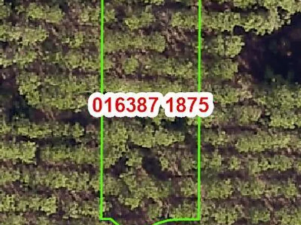 11184 STAPLETON Drive, Jacksonville, FL 32222