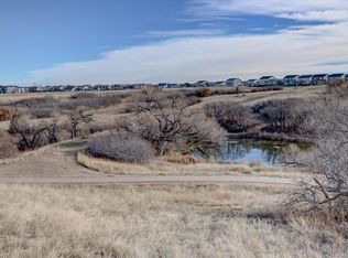 162 Tilbury Avenue, Castle Rock, CO 80104