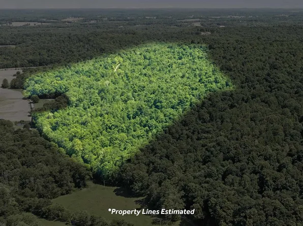 0 Diamond Springs Rd, Lewisburg, KY 42256