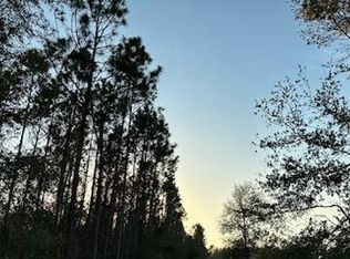 0 229th Rd, Live Oak, FL 32060
