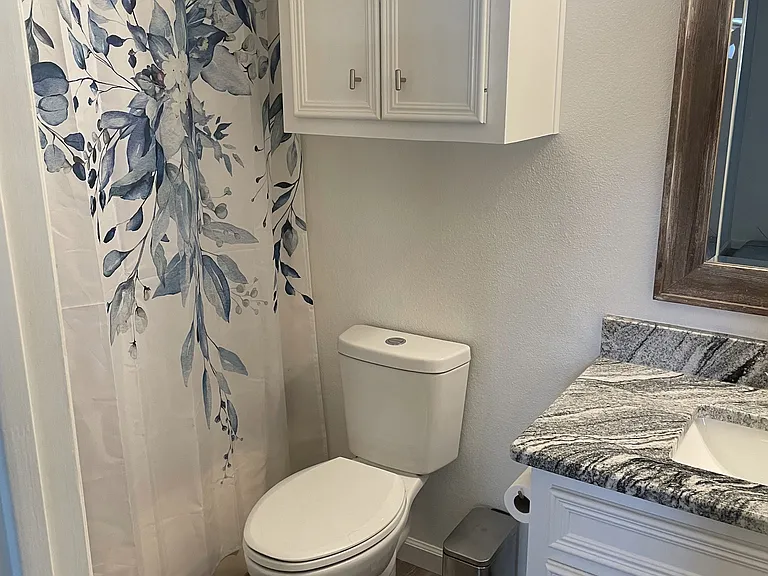 Guest bathroom