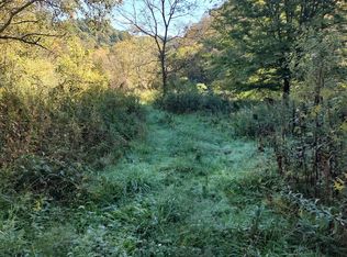 229 Bear Hollow Rd, Bristol, TN 37620