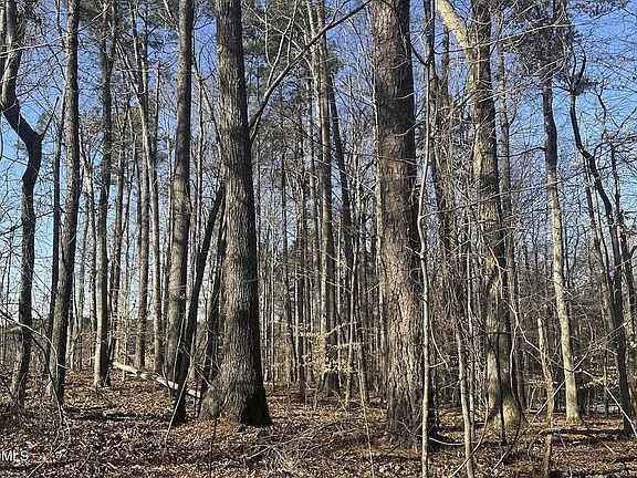 4th image of 0 Pierce Denny Rd