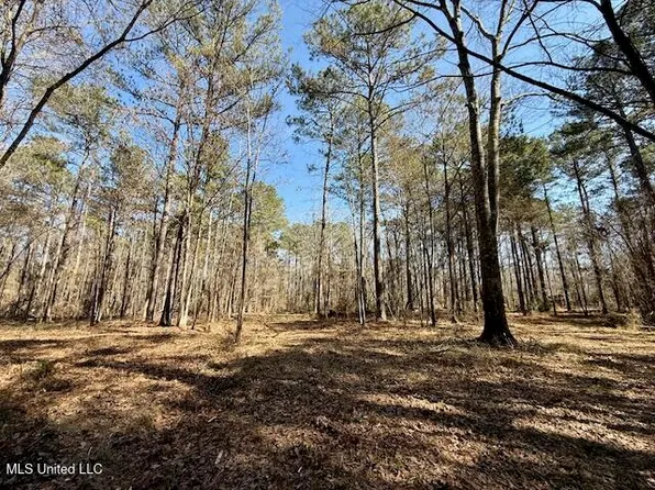 Boyd Trl NW, Brookhaven, MS 39601