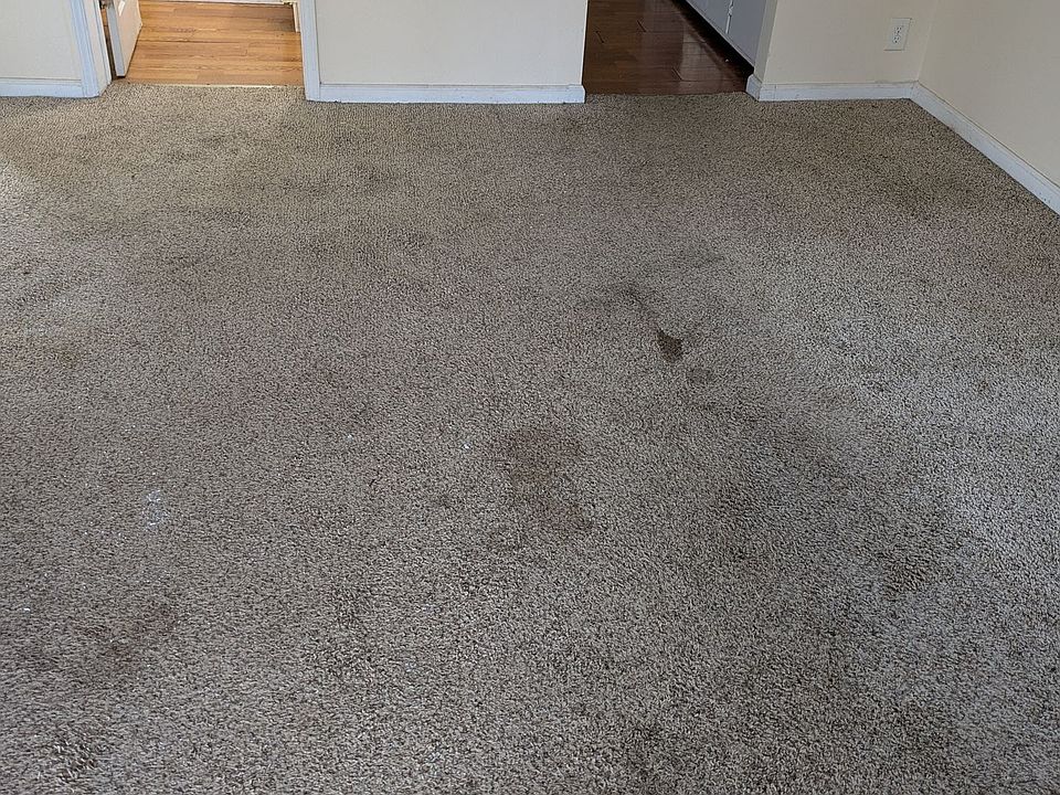 1st image of 806 S Saville Ave