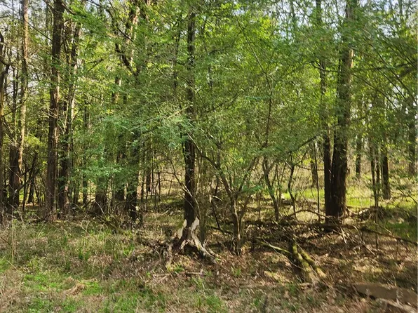 Lakeview Dr #7, Ozark, AR 72949