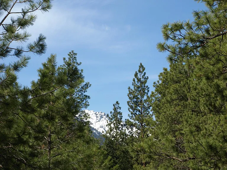 Western Rocky's view from entrance.