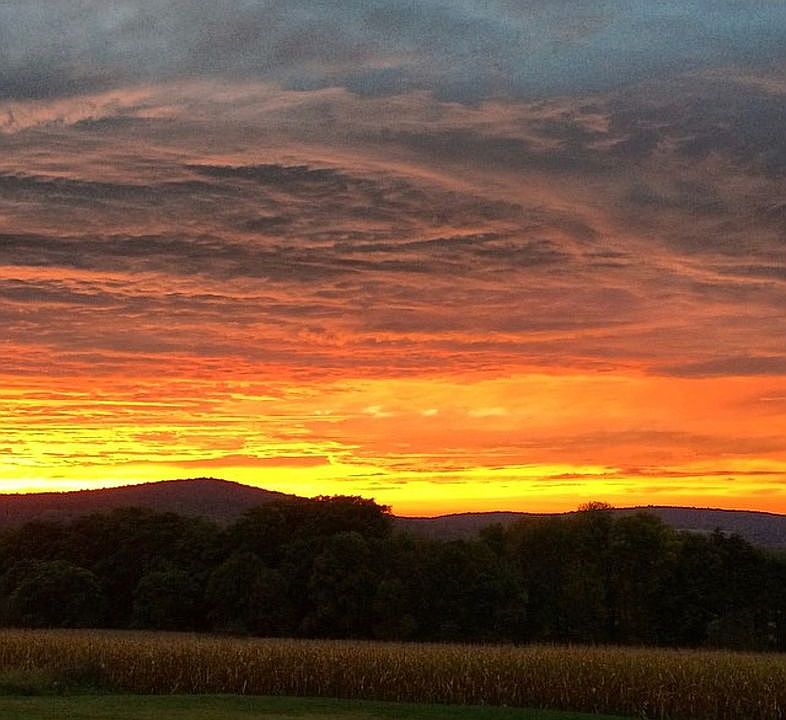 Sunset view 