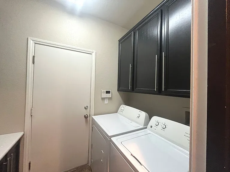 1667 Tangerine Rose Dr — Photo 36