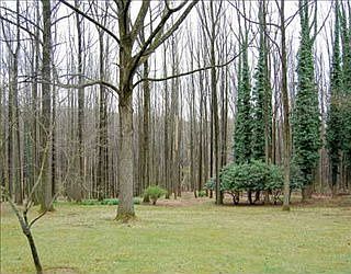 2nd image of 304 North Dr