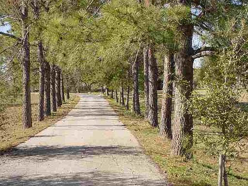 1st image of 37+ ACRES FM 775