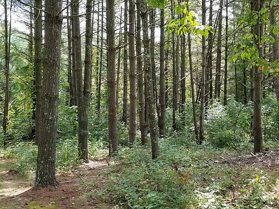 2nd image of 72723 Bowen Rd
