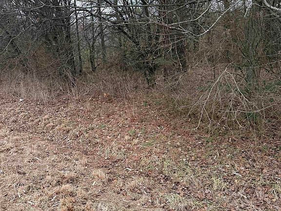 5th image of LOT 21 Griffin Farm Rd