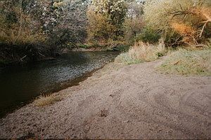 4th image of 1160 Hickory Creek Dr