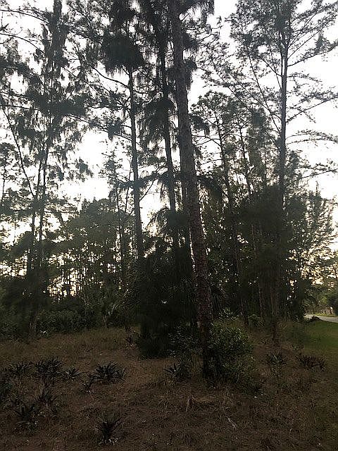 2nd image of 14595 Black Bear Rd