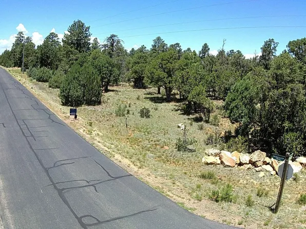 6663 MOGOLLON Trail #42, Happy Jack, AZ 86024